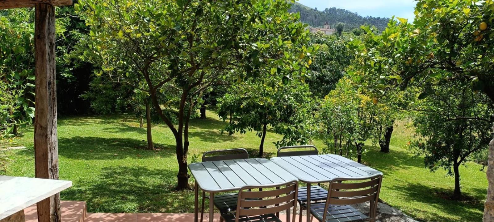 Casa Roupar By Geres Casas Villa Terras de Bouro Dış mekan fotoğraf